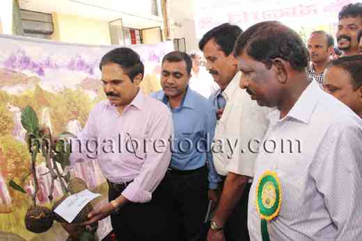 jackfruit mela13jun28 3
